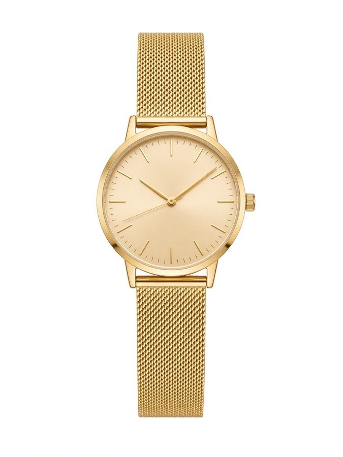 Gold Mesh Timepiece